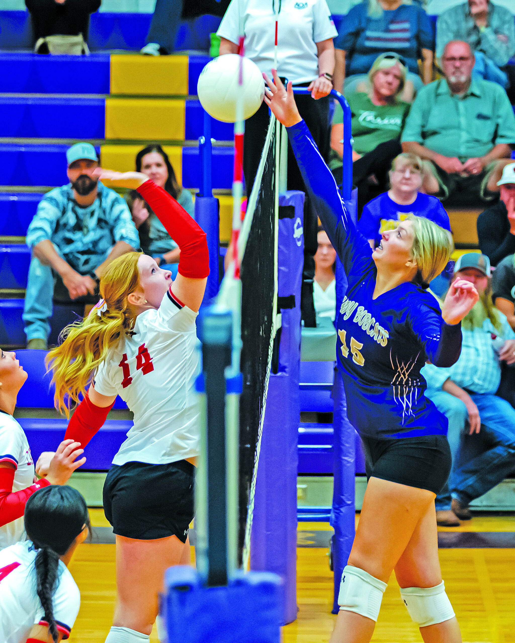 Lady Bobcats defeat Green Forest, Pea Ridge Carroll County News
